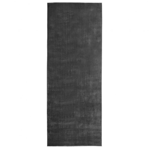 Alfombra de pasillo lavable gris antracita poliéster 100x300 cm D