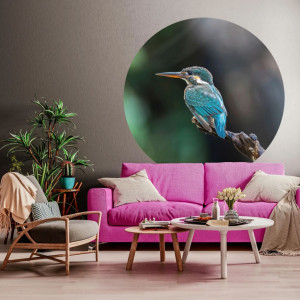 WallArt Círculo de papel pintado The Kingfisher 142.5 cm D