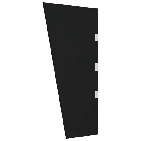 Panel lateral dosel de puerta vidrio templado negro 50x100 cm D