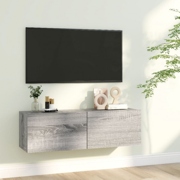 Mueble para TV madera contrachapada gris Sonoma 100x30x30 cm D