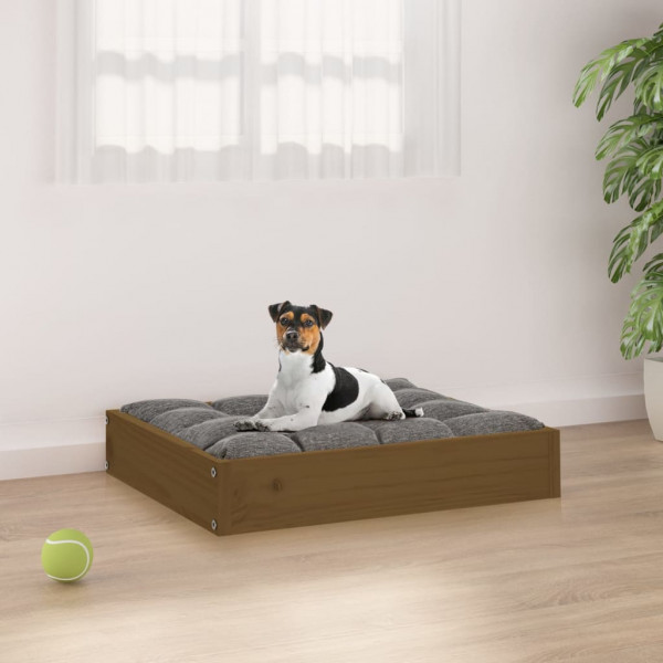 Cama de cão madeira maciça pinho marrom mel 51,5x44x9 cm D
