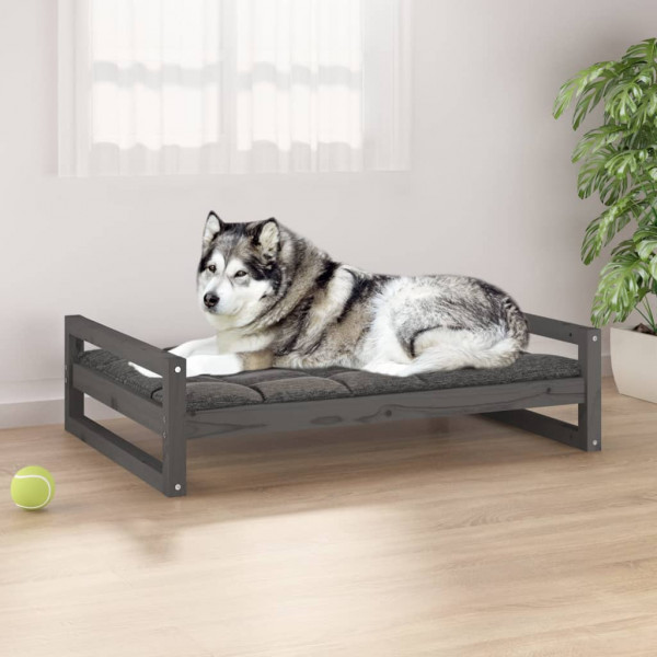 Cama para perros madera maciza de pino gris 105.5x75.5x28 cm D