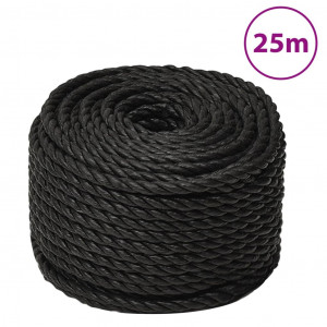 Cuerda de trabajo polipropileno negro 10 mm 25 m D