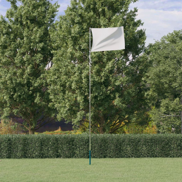 Mástil de bandera telescópico aluminio plateado 5.55 m D