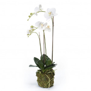 Emerald Orquídea mariposa artificial 70 cm blanca D