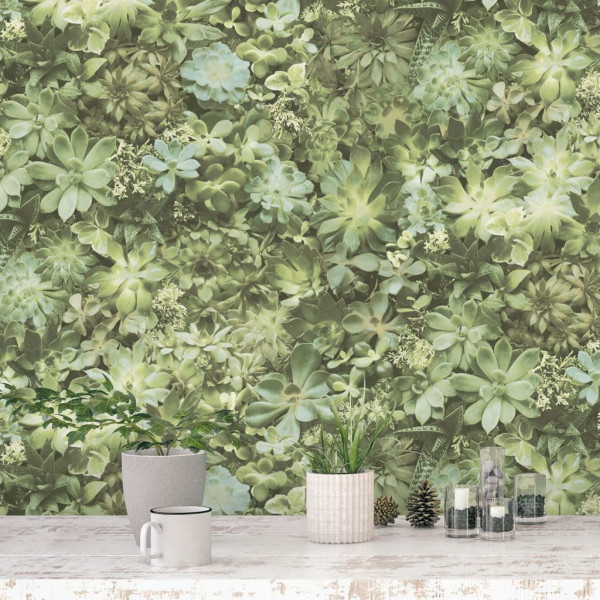 Evergreen Papel pintado Succulente verde e bege D