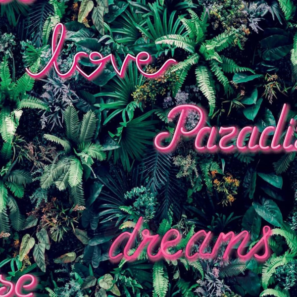 Good Vibes Papel de parede Neon Letter with Plants verde e rosa D