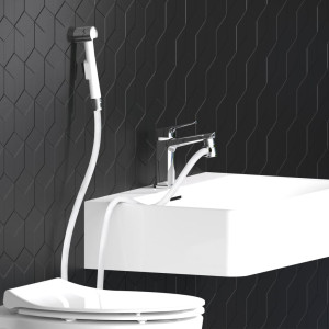 EISL Set de ducha de mano de lavabo soporte de pared y flexo blanco D