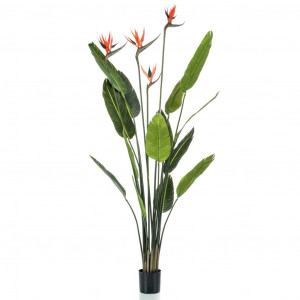 Emerald Árbol artificial Strelitzia con 4 flores en maceta 150 cm D