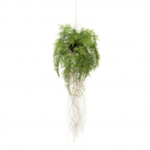 Emerald Helecho colgante artificial con raíces 35 cm D