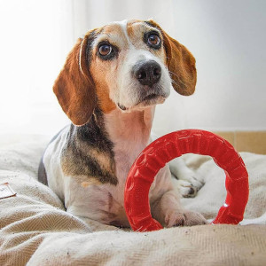 Ferplast Brinquedo dental para cães Smile vermelho grande 20x18x4 cm D