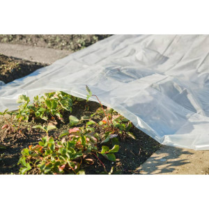 Nature Cobertor para plantas transparente 3x4 m 100µ D