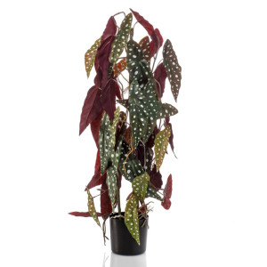 Emerald Begonia maculata artificial em pote de 75 cm D