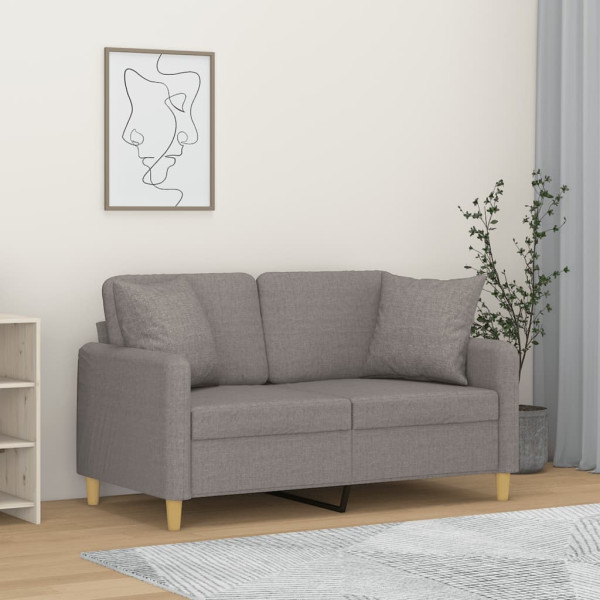 Sofá de 2 plazas con cojines tela gris claro 120 cm D