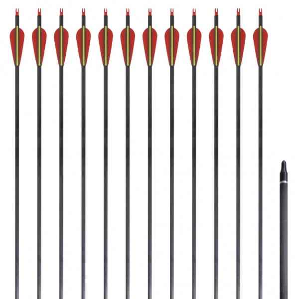 Flechas de carbono para arco recurvo padrão. 30 0,76 cm. 12 peças D
