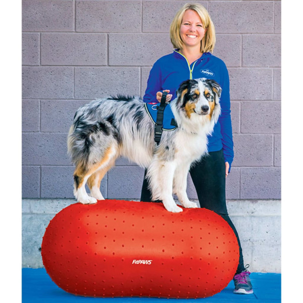 FitPAWS Plataforma de equilíbrio para animais de estimação Trax Amendoim vermelho 50 cm D