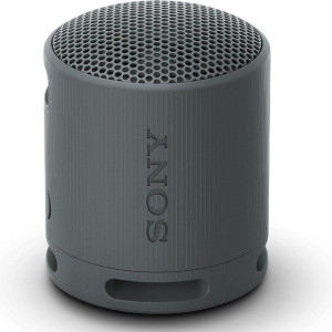 Altavoz con bluetooth Sony XB100 negro D