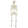 Esqueleto de Halloween Manual Ajustable 155 x 38.5 cm Plástico 5