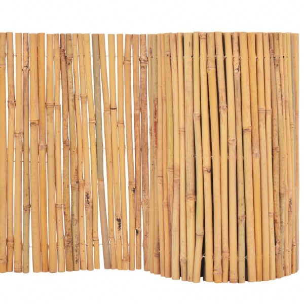 Parede de bambu 500x50 cm D