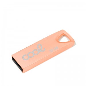 Pen Drive USB x32 GB 2.0 COOL Metal KEY Rose Gold D